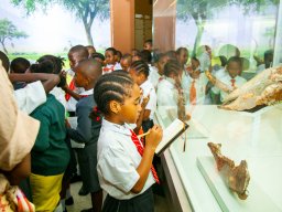 Primary School &raquo; Primary School